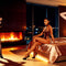 - Exotic Shop All  -