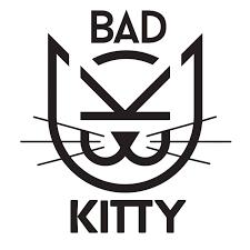 bad kitty