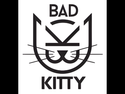 bad kitty
